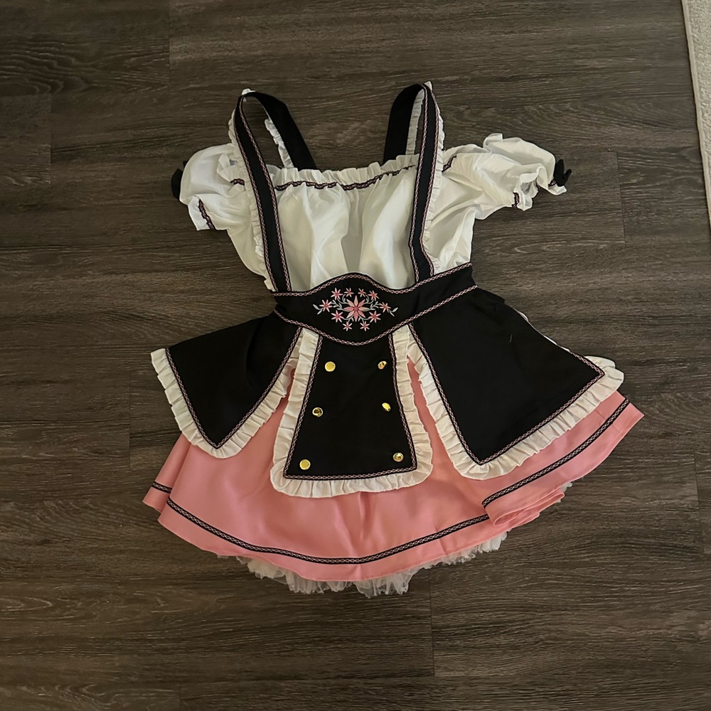 Oktoberfest Dirndl NWT
